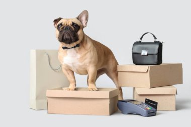 Beyaz arka planda alışveriş çantası, kutu ve ödeme terminali olan sevimli bir Fransız bulldog 'u.