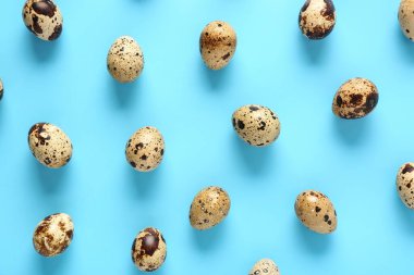 Mavi arka planda taze bıldırcın yumurtaları