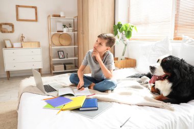 Bernese dağ köpeğiyle birlikte yatak odasında ödev yapan düşünceli küçük çocuk.