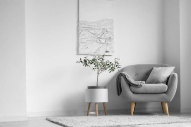 Gri koltuklu, bitki ve boyalı, aydınlık oturma odasının içi.