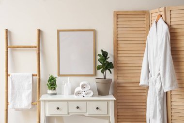 Tuvaleti ve bornozu olan modern şık bir banyo.