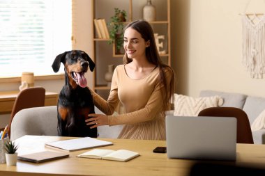 Şirin Doberman köpeği ve iş yerinde dizüstü bilgisayarı olan güzel, genç ve mutlu bir kadın.