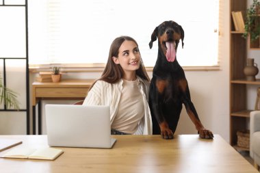 Tatlı Doberman köpeği ve evde dizüstü bilgisayarla çalışan güzel, genç ve mutlu bir kadın.