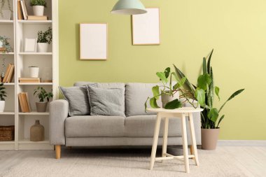 Gri kanepesi, raf ünitesi ve yeşil bitkileri olan oturma odasının içinde.