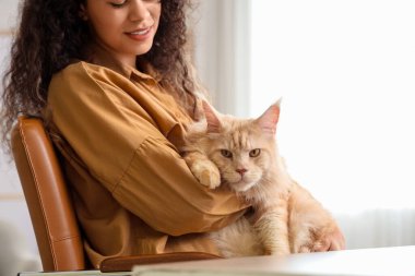 Güzel, genç, mutlu, Afro-Amerikan kadın evde sevimli Maine Rakun kedisiyle çalışıyor.