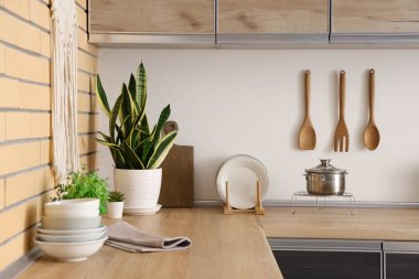 Mutfaktaki tezgahlarda ev bitkileri ve bulaşık malzemeleri var.