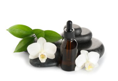 Beyaz zemin üzerinde gerekli yağ, spa taşları ve güzel orkide çiçekleri olan kompozisyon