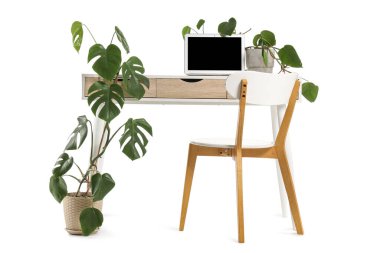Modern dizüstü bilgisayarı ve beyaz arka planda izole edilmiş ev bitkisi ile şık çalışma alanı