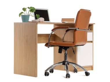 Modern dizüstü bilgisayarı, ev bitkisi ve beyaz arka planda izole edilmiş kitapları olan şık çalışma alanı