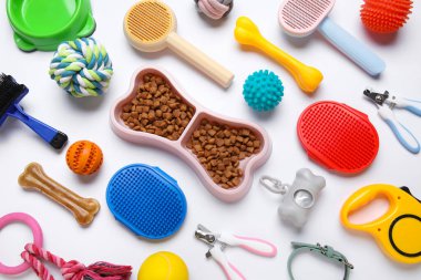 Kemik şeklinde yemek kasesi ve beyaz arka planda farklı hayvan aksesuarları.