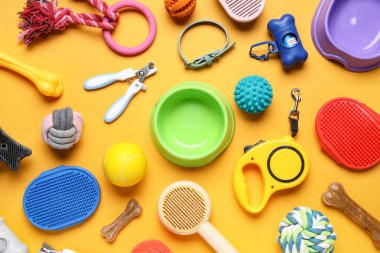 Yemek kasesi ve turuncu arka planda farklı evcil hayvan aksesuarları.