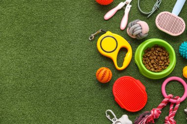 Kuru yiyecek ve yeşil çimlerde farklı hayvan aksesuarları olan bir kase.