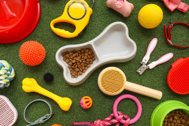 Kemik şeklinde yemek kasesi ve yeşil çimenlerin üzerinde farklı hayvan aksesuarları.