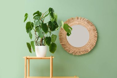 Yeşil duvarın yanında çiçekli ve şık aynalı masa, yakın plan.