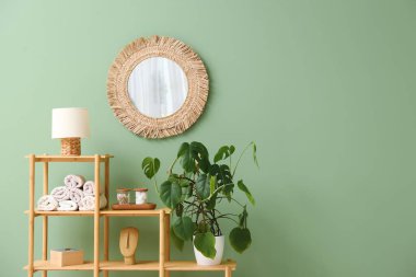 Ev bitkisi, banyo aksesuarları ve yeşil duvarın yanındaki şık aynalı raf ünitesi.