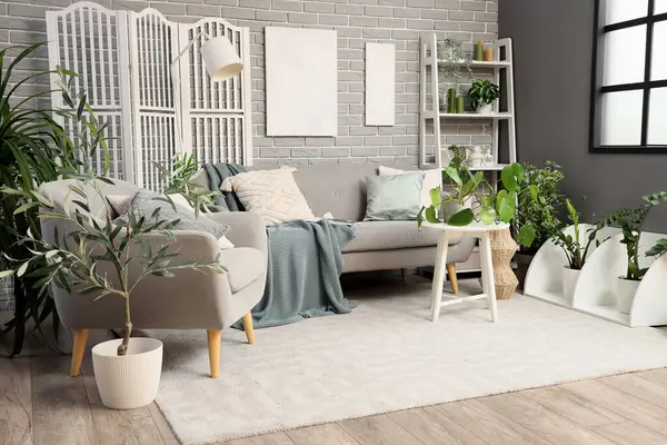 Oturma odasının içinde gri kanepe, koltuk ve yeşil bitkiler var.