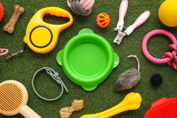 Yemek kasesi ve yeşil çimenlikte farklı hayvan aksesuarları.