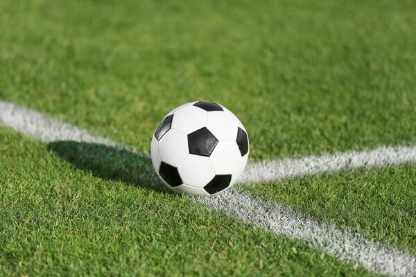 Футбольный мяч на зеленой траве стадиона