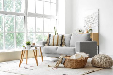 Gri kanepesi, sehpası ve sepeti olan aydınlık oturma odasının içi.