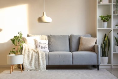 Beyaz duvarın yanında rahat bir kanepe ve raf ünitesi.