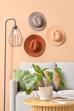 Kahve masası ve kahverengi duvarın yanındaki şapkalı şık gri kanepe.