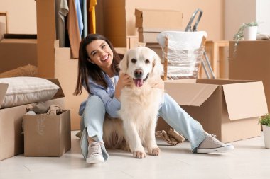 Genç, mutlu bir kadın ve taşınma gününde kutuları olan sevimli Labrador köpeği evde oturuyor.