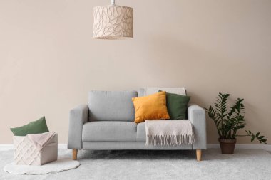 Rahat kanepesi, çiçekleri, lambası ve yastıkları olan beyaz oturma odası.