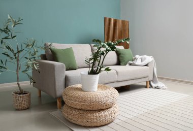 Gri kanepeli, katlanır perdeli ve bitkilerli şık bir oturma odası.