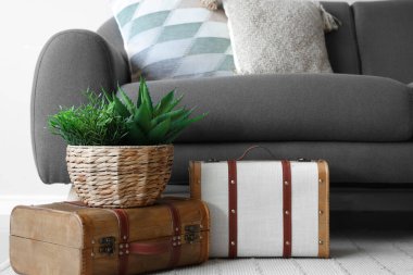 Oturma odasında yastıkları, bavulları ve çiçekleri olan gri kanepe.