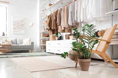 Interior of modern wardrobe with stylish clothes and accessories