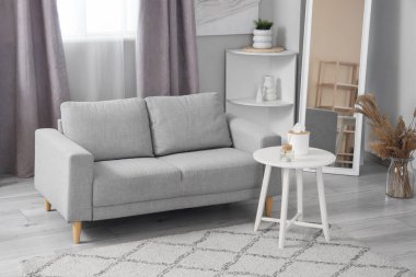 Rahat kanepesi, sehpası ve halısı olan aydınlık modern oturma odası.