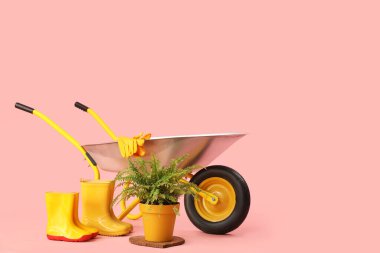 Bahçe malzemeleri, pembe arka planda bitki ve el arabası.