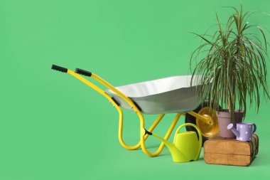 Yeşil arka planda su bidonları, bitki ve el arabası