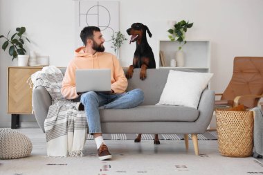 Dobermann köpekli genç adam evdeki kanepede dizüstü bilgisayar kullanıyor.