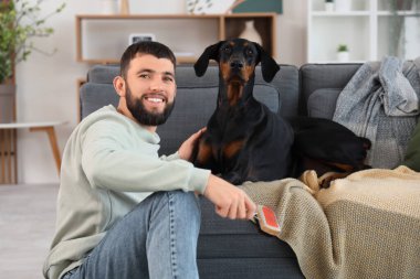 Evcil hayvan fırçası ve evde Dobermann köpeği olan genç bir adam.