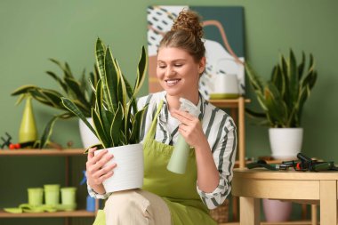 Evinde sprey şişesi ve sansevieria bitkisi olan önlüklü güzel bir kadın.