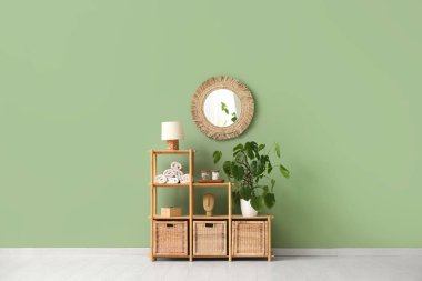 Ev bitkisi, banyo aksesuarları ve yeşil duvarın yanındaki şık aynalı raf ünitesi.