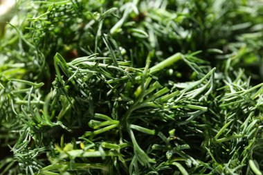 Arka plan olarak taze yeşil dereotunun dokusu