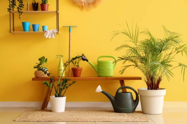 Bahçe aletleri, raf ve bank ile atölyenin içi