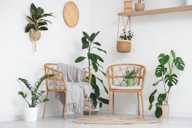 Yeşil bitkilerle, koltuklarla ve raflarla aydınlatma odasının içinde.