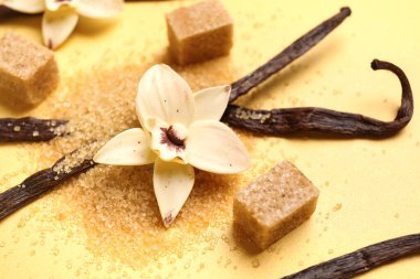 Sarı arka planda kabuklu vanilya şekeri ve çiçek, yakın plan