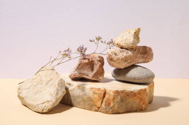 Bej arka planda farklı deniz taşları ve gypúila çiçekleri