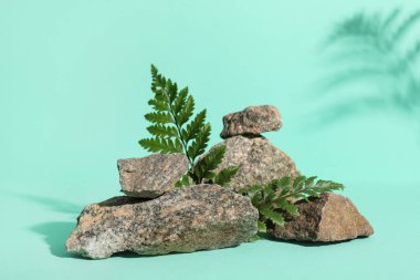 Turkuaz arka planda yeşil eğreltiotu yapraklı ve kayalı kompozisyon