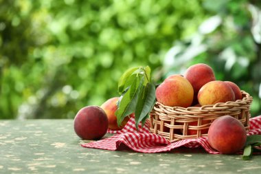 Açık yeşil masada olgun şeftalili sepet.
