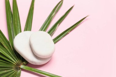 Pembe arka planda tropik palmiye yaprağı ve taşlar, yakın plan