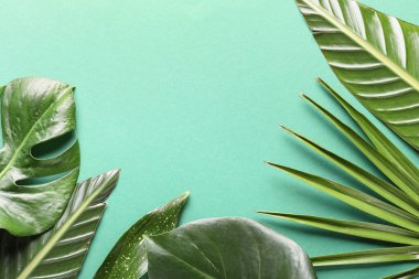 Farklı tropikal yaprak yeşil zemin üzerine