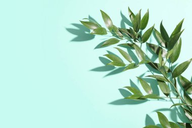 Turkuaz arka planda yeşil tropikal yapraklar