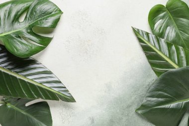 Grunge arka planında farklı tropikal yapraklar