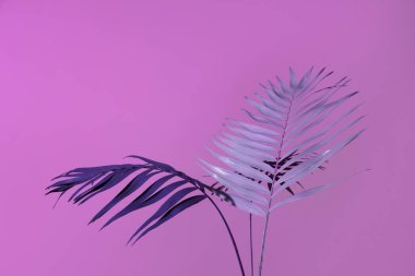 Leylak arka planında neon tropikal palmiye yaprakları