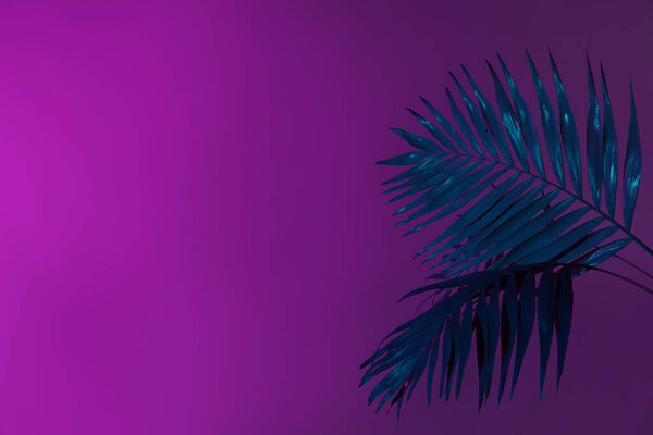 Неоновые тропические пальмовые листья на фиолетовом фоне